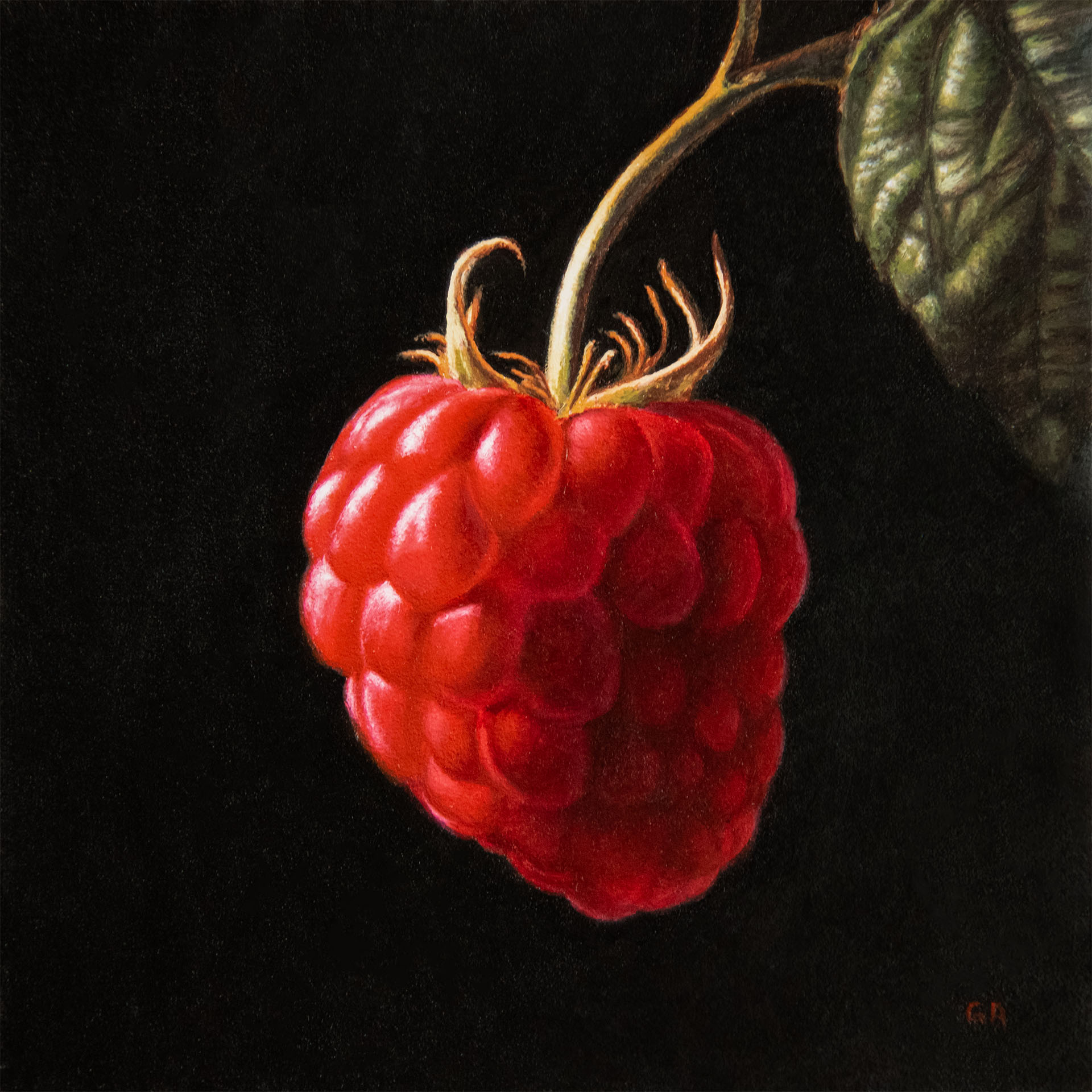 Raspberry, oil painting by George Ayers